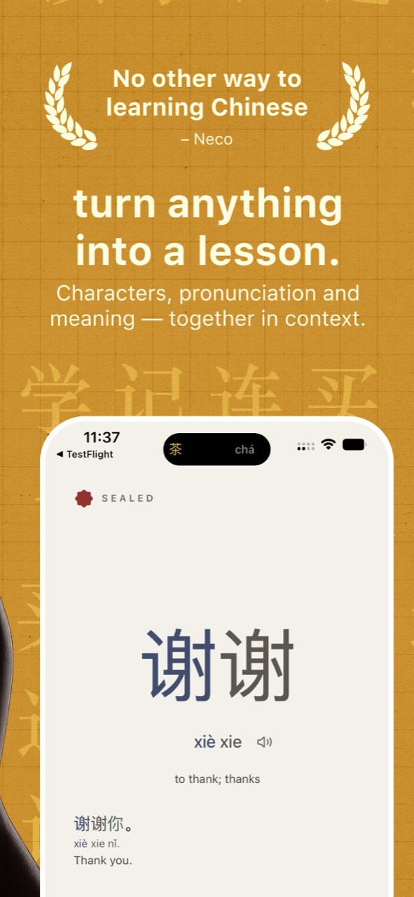 The quiz shield sealing a social app until the character is answered